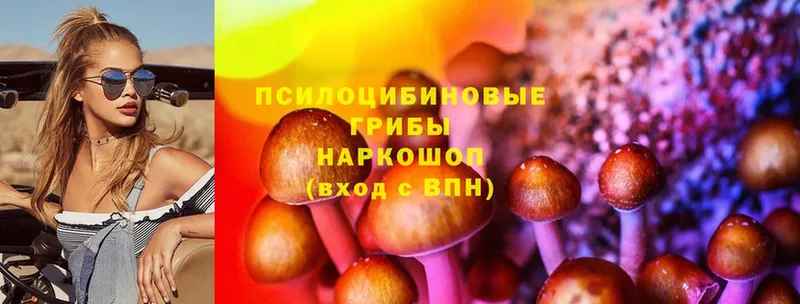 магазин продажи   mega рабочий сайт  Псилоцибиновые грибы Magic Shrooms  Мариинск 